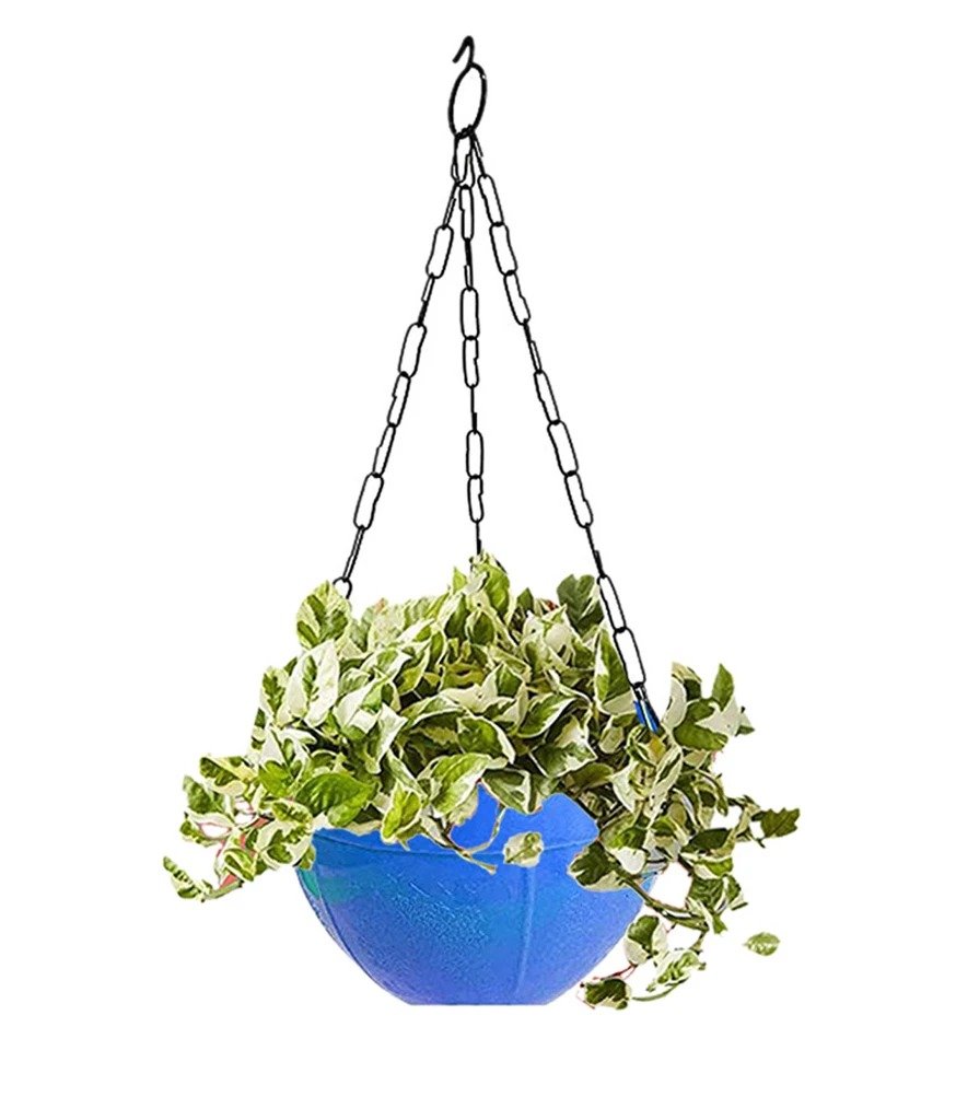 Flower Pot Plant With Hanging Chain