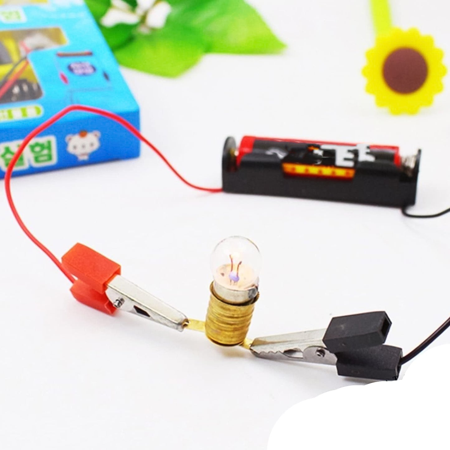 Diy Educational Science Kit