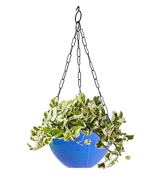 Flower Pot Plant With Hanging Chain